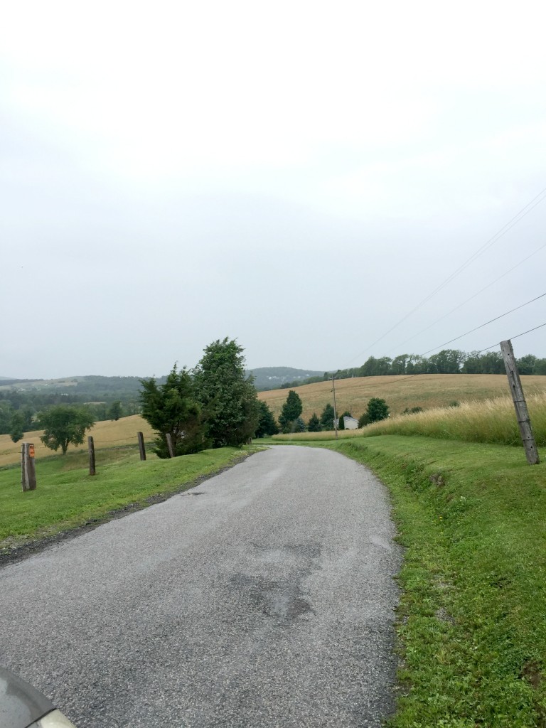 visiting-ochs-orchard-road
