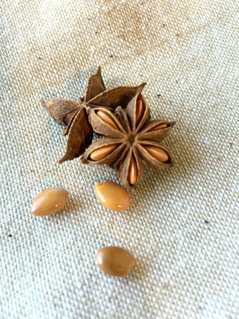start-anise